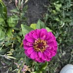 Agnes Waters - Facebook
