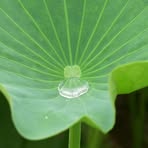 Agnes Waters - Facebook