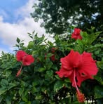 Agnes Waters - Facebook