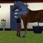 Agnes Watts - @the_sims_3_horsehistory - Instagram