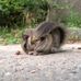 Agnes Wei - Facebook