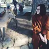 Agnes Wei - @30694014665 - TikTok