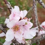 agnesweiler - @agnesweiler - Instagram