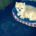 Agnes West - Facebook