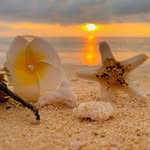 Adi Akanisi Vunitiko Waqa - @whippy.agnes - Instagram