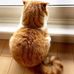 Agnes Sum Mui Yip - Facebook