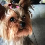 Agnes Yip - @yip4502 - Instagram