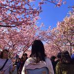 @agnesyuen27 - Instagram