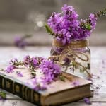 Ahlam SA - @ahlamsalem935 - Instagram