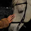Ahlam Salem - @ahlam.salem7 - TikTok