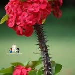 Ahmad Abdala - @eyahmdba - Instagram