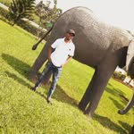 Ahmad Abdala - @ahmadabdala874 - Instagram