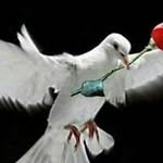 ahmad abdala - @abdala8958 - Instagram