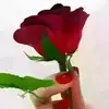 ahmadabdala42 - @ahmadabdala42 - TikTok