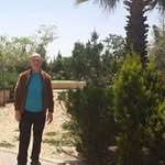 أحمد عرفة - @ahmad.arafeh.2015 - Instagram