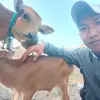 Ahmad Asgar - @ahmad.asgar5 - TikTok