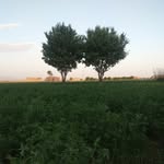 ahmad ashkar - @ahmad_ash1353 - Instagram
