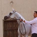 Ahmad Badran - احمد بدران - @ahmad_badran7 - Instagram