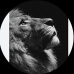 Ahmad Hamdan - Facebook