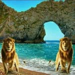 Ahmad Hamdoun - @ahmad.alger.165 - Instagram