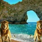 Ahmad Hamdoun - Facebook