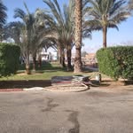 Ahmad Hamdoun - @hamdouneahmed29 - Instagram