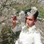 ahmad.kermani - @ahmad.kermani92 - Instagram