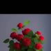Ahmad Omari - Facebook