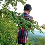 Ahmad Roman - @ahmadroman96 - Instagram