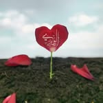 Ahmad Shaaban - @ahmad.shaaban.58173 - Instagram