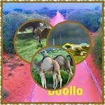 ahmed abdulahi yusuf - @ahmedabdulahiyusuf - Instagram