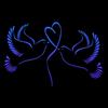 Ahmed adow - @skyming_2119new - TikTok