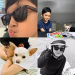 Ahmed Eino - @aeino18 - Instagram