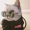 Ahmed Elfar - @ahmed000.02 - TikTok