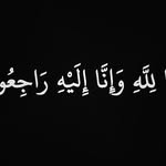 Ahmed M Elfar - @ahmed_elfar - Instagram