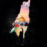 Ahmed Elnagar - @ahmed__elnagar - Instagram