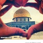 Ahmed Jadallah - @ahmed.jadallah.754 - Instagram