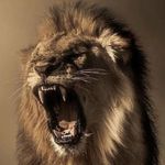 Ahmed kamara - @ahmed_kamara_001 - Instagram