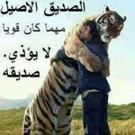 Ahmed Elsayed Elsayed - @ahmedlongoahmed - Instagram