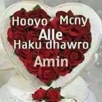 Axmad Macalin - @ahmed.moalin.547 - Instagram