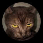 Ahmed Mujtaba - @ahmed_mujtaba2005 - Instagram