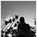 Ahmed Refat - Facebook