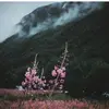 Ahmed_refat - @Ahmed_refat - TikTok