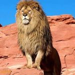 Ahmed Roble - @mahdiroblehahmed43 - Instagram