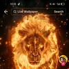 Ahmedsaad - @ahmedsaad60148 - TikTok