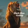 🦁Silent king🦁 - @sadiqahmed805 - TikTok
