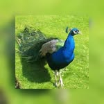 Ahmed Salad Mohamud - @ahmedsaladmohamud - Instagram