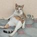 Ahmed shafi - Facebook