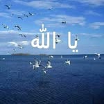 Ahmed Tabib - @ahmed.tabib - Instagram