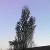 ahmedtabib68 - @ahmedtabib68 - TikTok